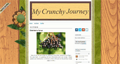 Desktop Screenshot of mycrunchyjourney.com